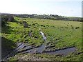 Ned Townland