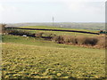 Fields by Warbstow Bury