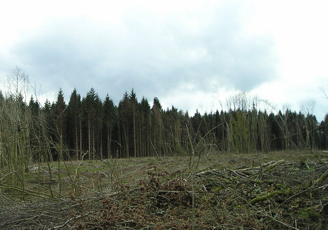 Forestry Commission Land