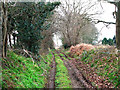 Cumbers Lane, approaching Cumbers Farm