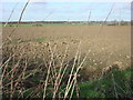 Field to the north of Borley