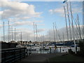 A full marina in February