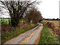 Gatehouse Lane looking north from junction with Cumbers Lane