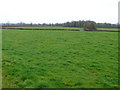 ST6033 : Farmland near Hornblotton Somerset by Nigel Mykura