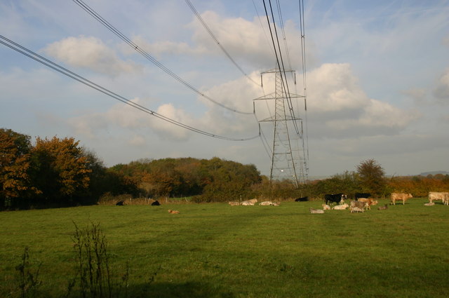 Electricity Pylons by Baker's Spinney