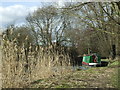 Narrowboat on the River Stort