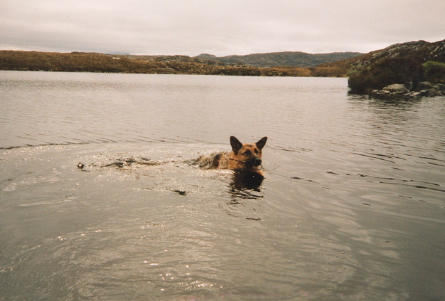 Lochan with no name, with Sasha swimming