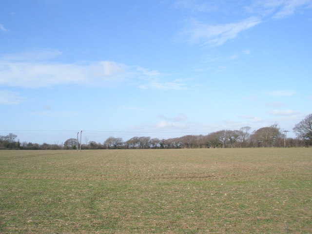 Field near West Lane