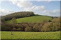 Fields and Tor Wood