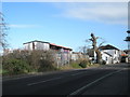 Severely pollarded tree in Station Road