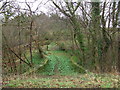 Bridge over the Daff Burn