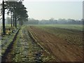 Farmland, Ruscombe