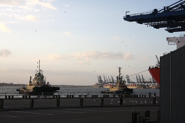 Tugs at the Port of Felixstowe