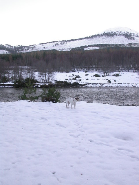 River Feshie in snow