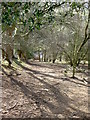 Footpath near Pentre