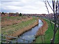 Drain and flood bund, plus new housing