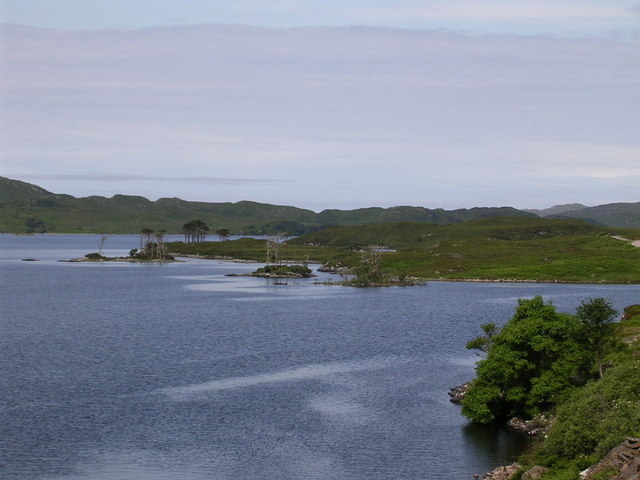 Loch Assynt, north shore.