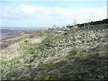SE1220 : Rough pasture, Elland by Humphrey Bolton