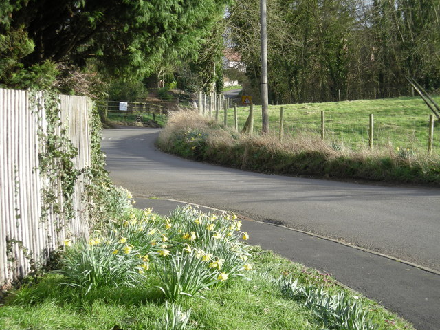 Lane through Wroxeter.