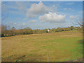 View in the direction of Perthi across rough grazing