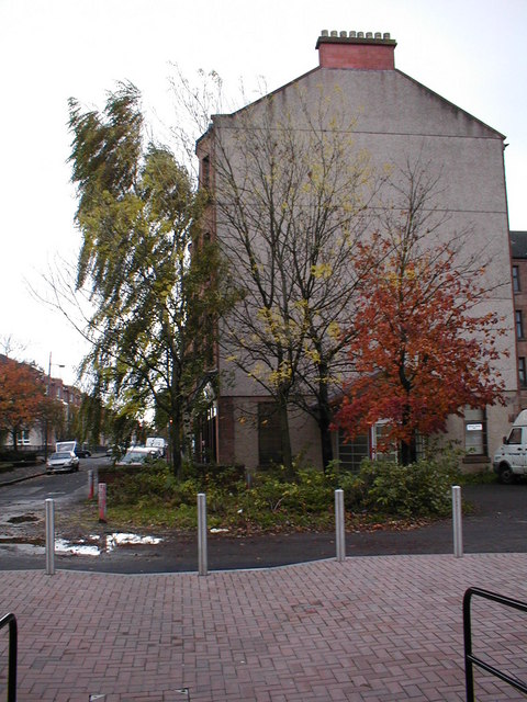 Autumn trees in Yoker