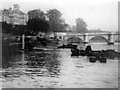 River Thames Richmond Bridge