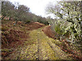 Track, Little Rogart