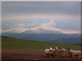 SO0535 : View of the Brecon Beacons by Andrew Lewis