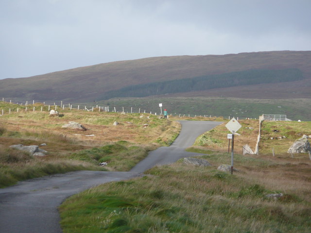 The southern end of the Committee Road