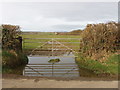 Gate and field opposite Delabole Farm