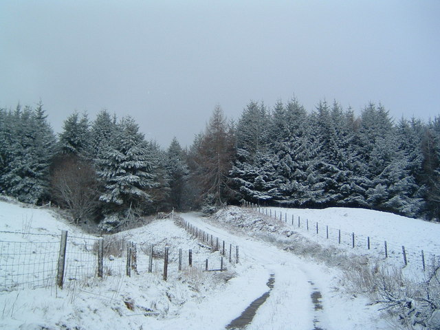 Forest Entrance to Coed Brycheiniog (private road)