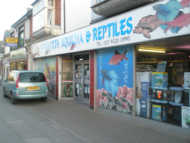 Pet shop at Drayton (not Emsworth)