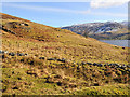 Rough Pasture and old drystane dykes in lower Glen Beich