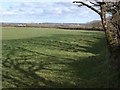 Field at Delabole Farm