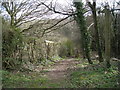 Footpath off Cherry Tree Hill.