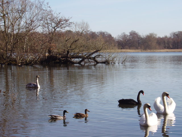 Fleet Pond © Diane Sambrook cc-by-sa/2.0 :: Geograph Britain and Ireland