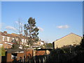 Rear of houses in Knowlsley Road, Cosham