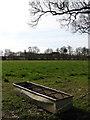 Watering trough in cattle pasture