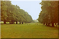 TQ3092 : Broomfield Park with avenue of Elm Trees, London N13, taken in 1971 by Christine Matthews
