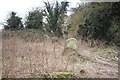 Apesthorpe cemetery