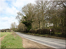 TG2138 : View north along the B1436 (Cromer Road) by Evelyn Simak