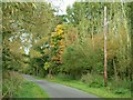 The lane  from Piddington to the A41