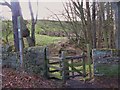 NY8356 : Kissing gate on the path to Oakpool by Mike Quinn
