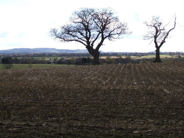 Field near Ferma Lane