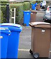 Bin day, Cranmore Avenue, Belfast