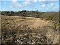 Common land near Demelza