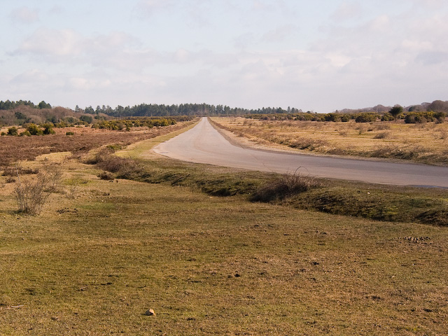 Main runway of defunct Stoney Cross airfield, New Forest