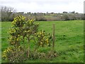 Carrick Townland