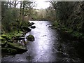 River Roe