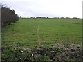 Glebe Townland